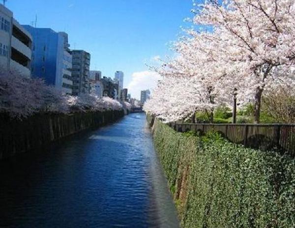 lobby. Meguro River