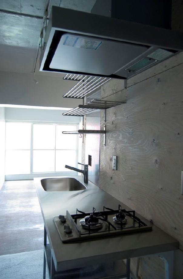 Kitchen. Indoor (September 2010) Shooting
