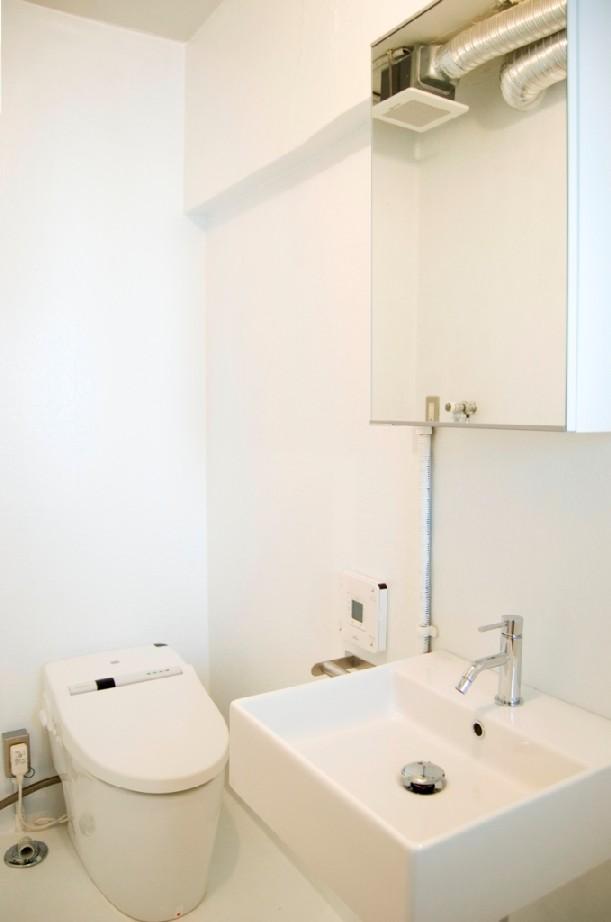 Toilet. Indoor (September 2010) Shooting