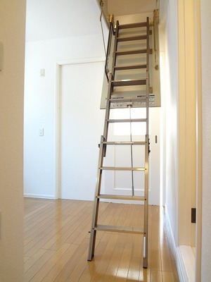 Living and room. Retractable ladder