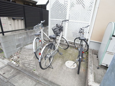 Parking lot. Bicycle parking space