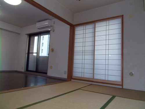 Other room space. Japanese style room