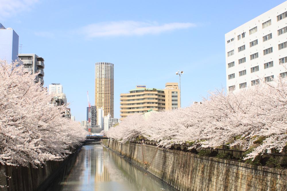 Other. Major points of interest Nakameguro Meguro River Cherry blossom season is beautiful.  About 900m