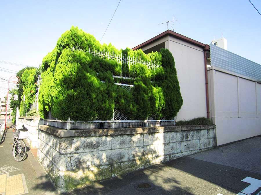 Local land photo