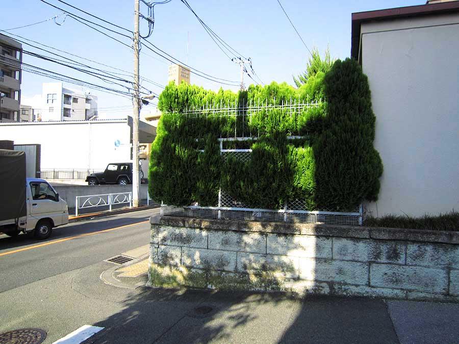 Local land photo