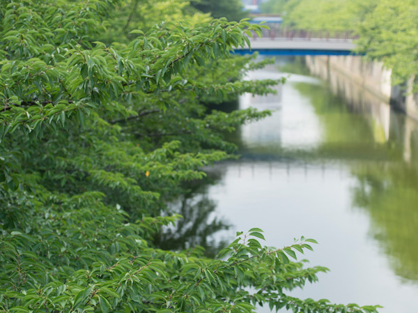 Surrounding environment. Meguro River (about 160m / A 2-minute walk)