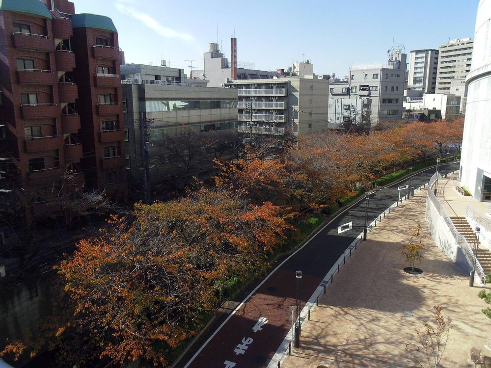 View photos from the dwelling unit. View from the site (November 2013) Shooting