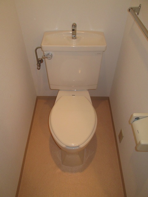 Toilet. Same property separate room
