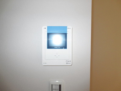 Security. Monitor with intercom