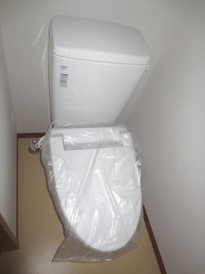 Toilet. Toilet part