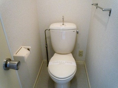 Toilet. reference image