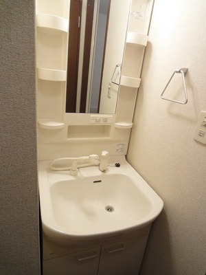Washroom. Shampoo dresser