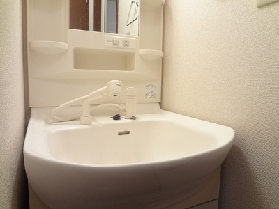 Washroom. shower head