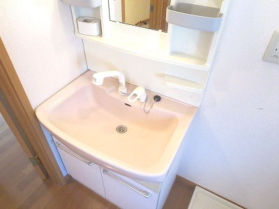 Washroom. Shampoo dresser