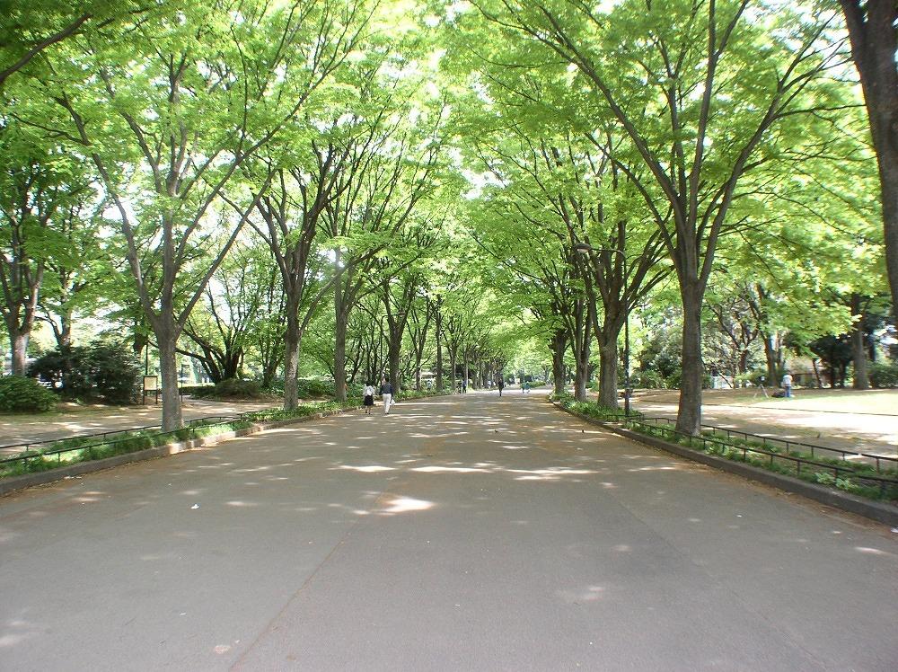 park. 160m to Komazawa Olympic Park