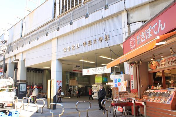 Other. A 12-minute walk from Gakugei University Station