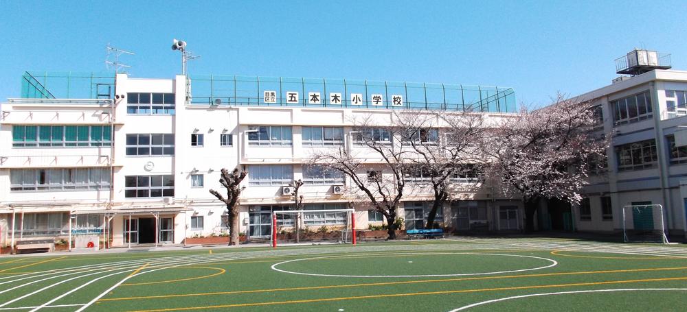 Primary school. Gohongi elementary school