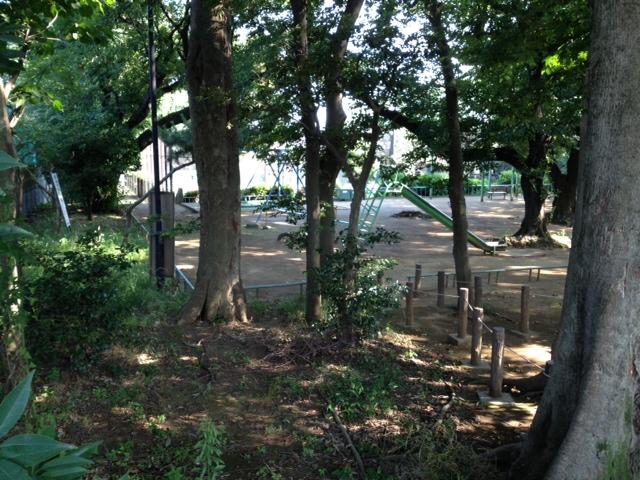 park. Surrounding environment: Miyamae park