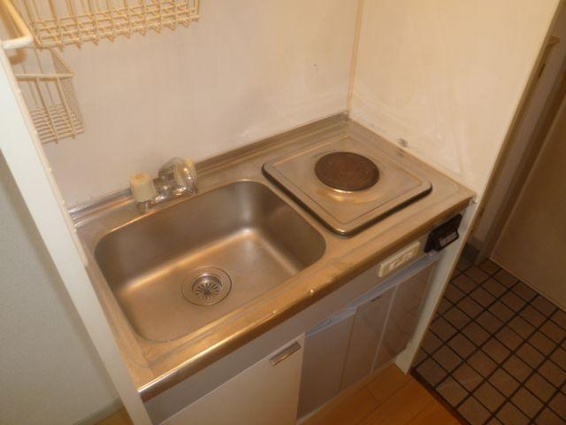 Kitchen. Electric stove in the kitchen