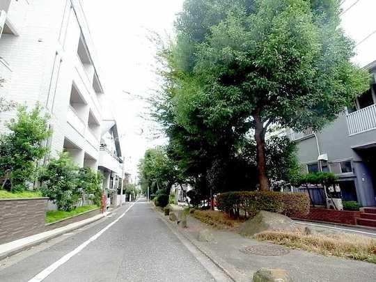 Other. There is a green road in the place where I walked 109m from our property, It will be in full bloom in a cherry tree in spring. 