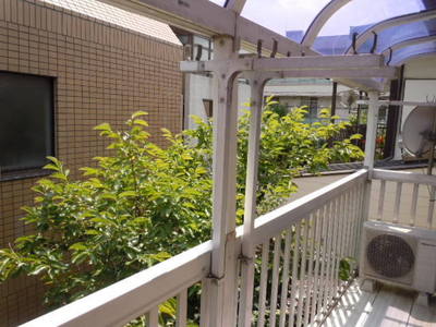 Balcony. Veranda