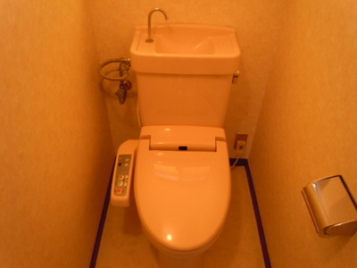 Toilet. Toilet