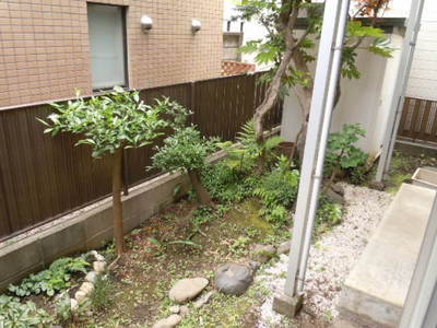 Garden. Outside dog breeding Allowed