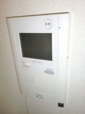 Security. With TV monitor intercom