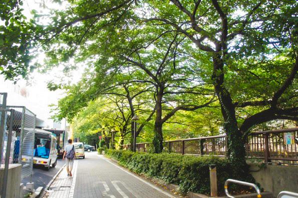 Streets around. You feel the transitory of four seasons while staying in the 800m city center until the tree-lined streets of the Meguro River.