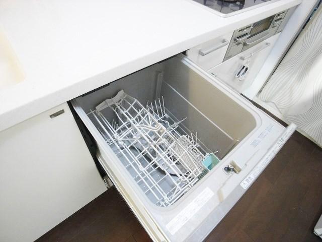 Other introspection. Dishwasher