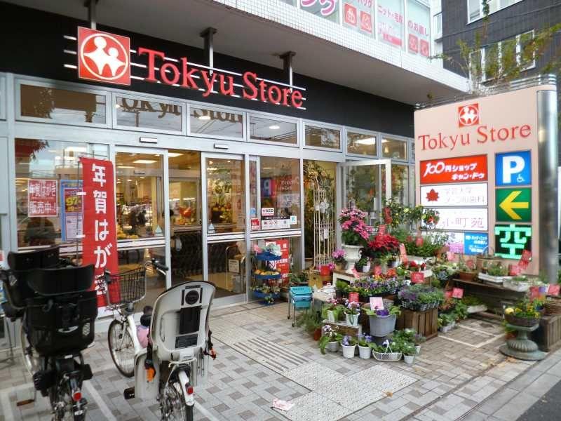 Supermarket. Tokyu Store Chain Komazawa street 480m to Nozawa shop