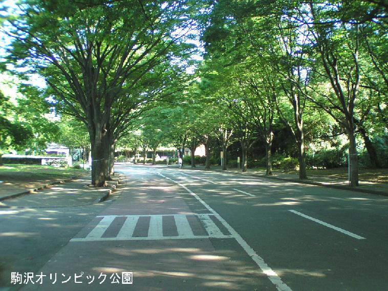 park. 1000m to Komazawa Park