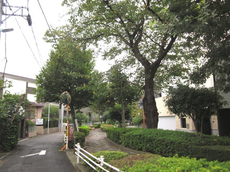 Other. This also Komazawa Park in addition to the front of the road you will feel the near four seasons.