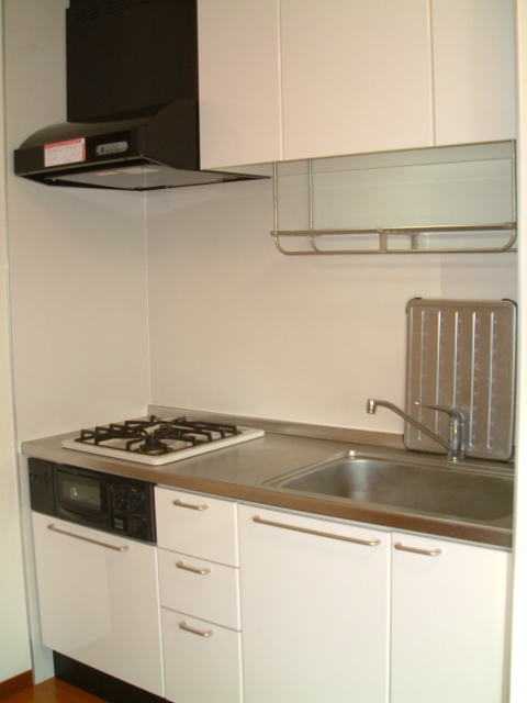 Kitchen. System kitchen (gas 2 burners)