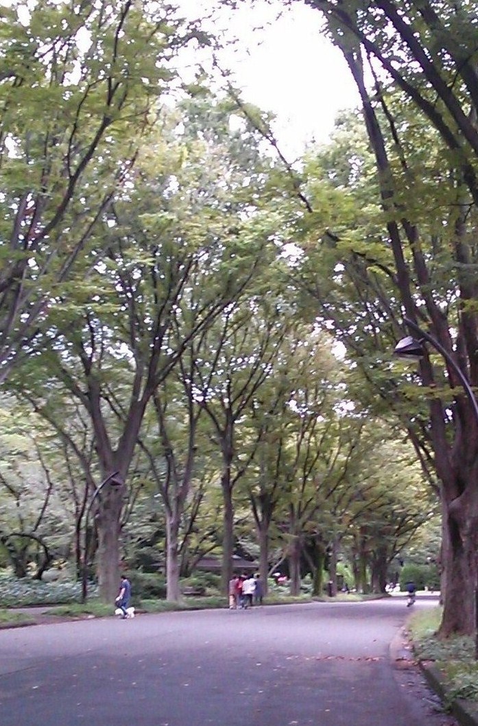 park. 610m to Komazawa Olympic Park (Park)