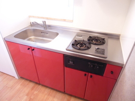 Kitchen. Stylish counter kitchen of a two-necked gas