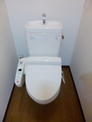 Toilet. Toilet of God