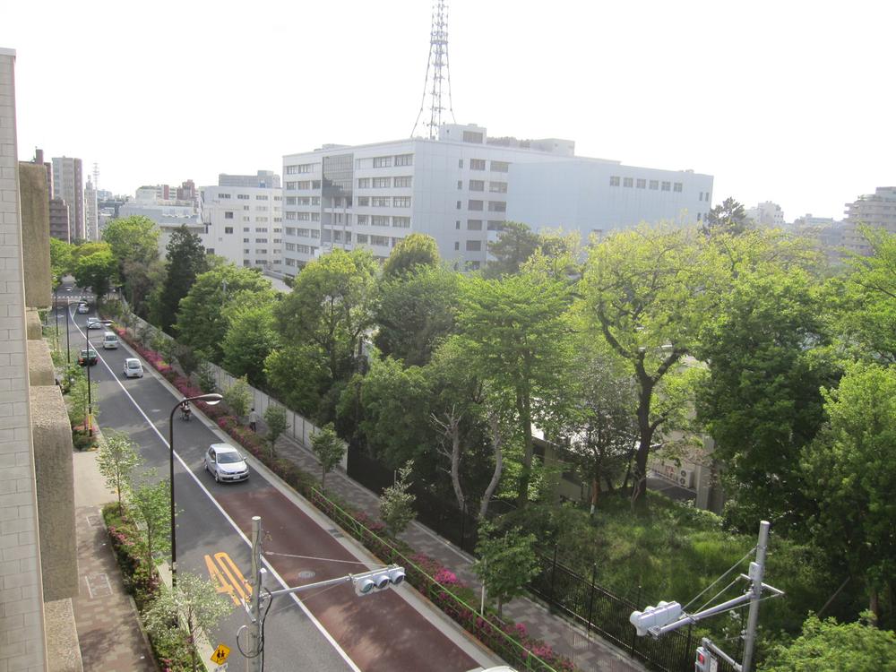 View photos from the dwelling unit. View from local (overlooking the teahouse hill)