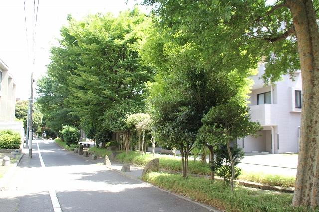 Streets around. 呑川 Kakinokizaka tributary green road