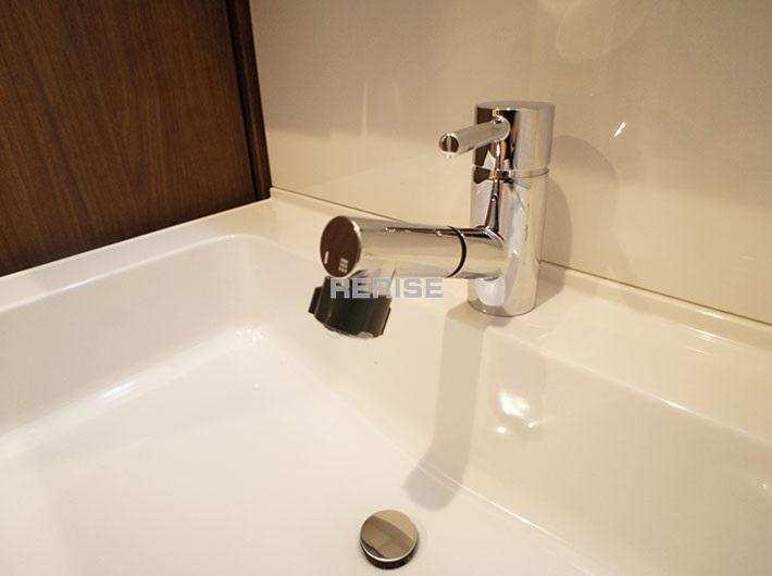 Wash basin, toilet. Basin is a vanity with a shower head