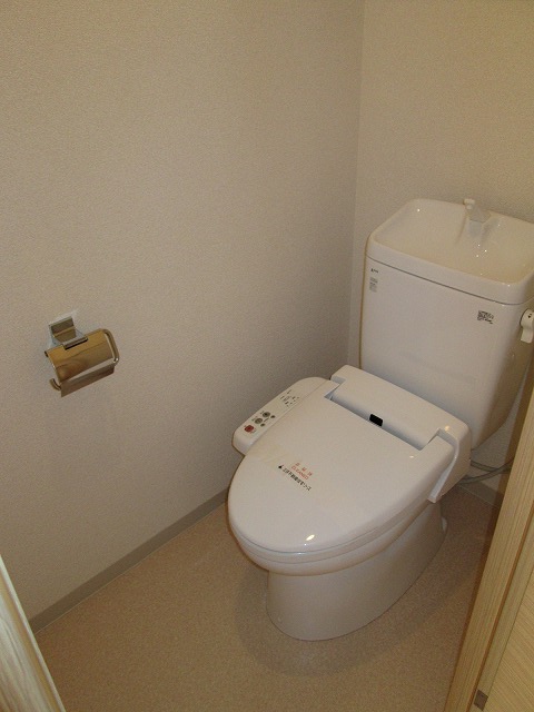 Toilet. Same property separate room