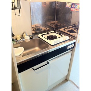 Kitchen. Gas stove with 1-neck