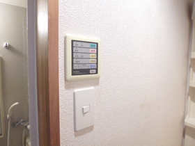 Other Equipment. Very active in the rainy season! Bathroom Dryer!