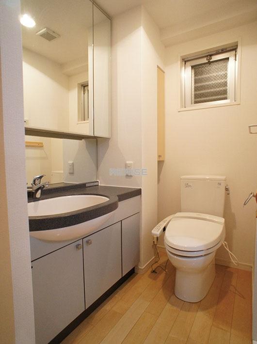 Wash basin, toilet. Sanitary room