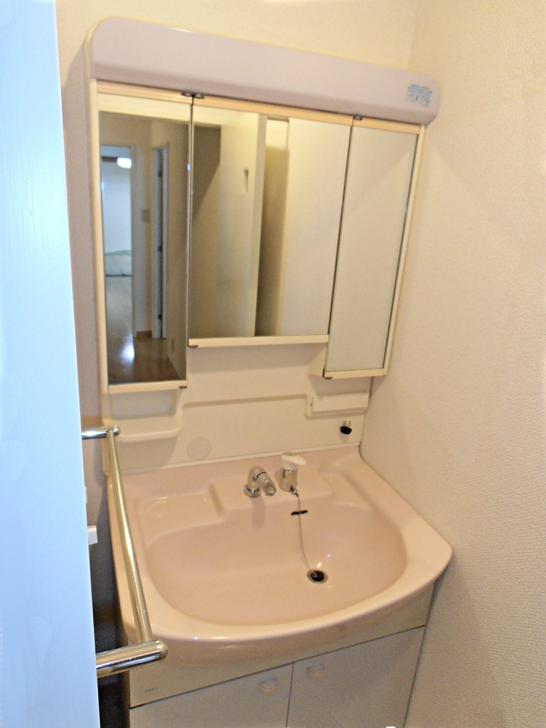 Washroom. Washbasin with shower Dresser