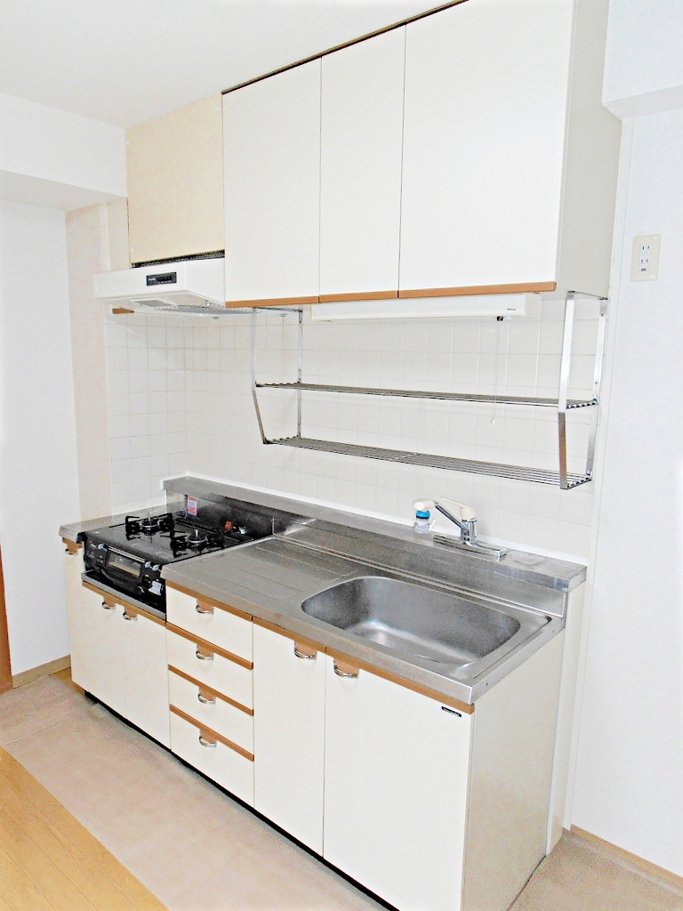 Kitchen. 2-neck Gasukitchin (gas stove new)