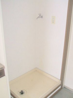 Washroom. Indoor Laundry Storage