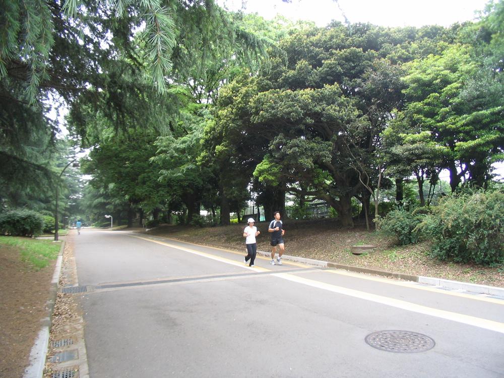 park. From local about 620m is Komazawa Park. It is recommended point of jogging and cycling.