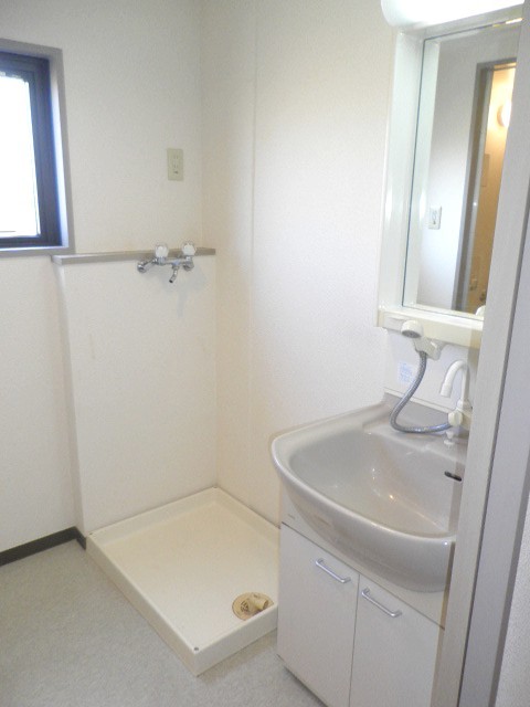 Washroom. Washbasin with shower