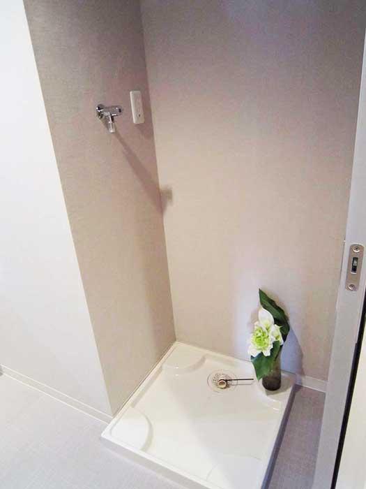 Wash basin, toilet. Washing machine Storage